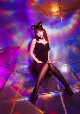 2022国产猫粮推荐_蓝光版中文字幕包